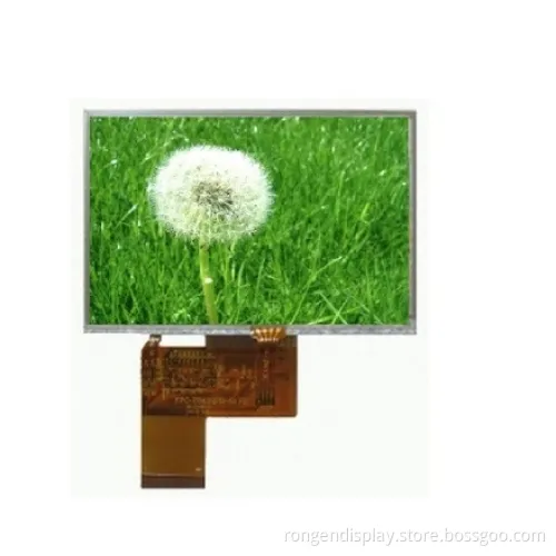 4.3inch TFT LCD Screen with Touch Screen Rg043dtd-07r